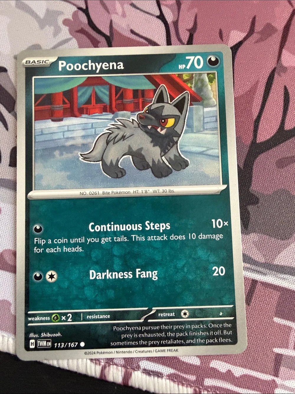 Poochyena & Mightyena Evolution Lot | Temporal Forces + Astral Radiance| ✨5/$25✨